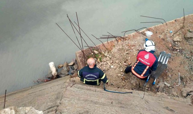 Harşit çayına düşen köpek kurtarıldı