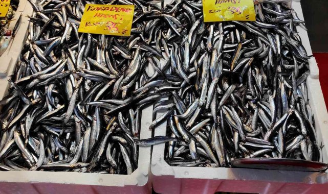 Hava soğudu, balık tezgahları şenlendi