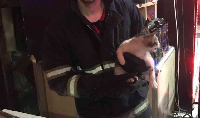 Havalandırmayı keserek kediyi kurtardılar