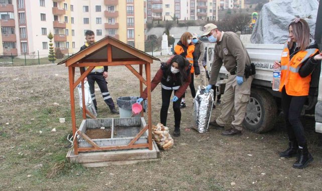 HAYDİ ekipleri, soğuk kış gününde sokak hayvanlarını yalnız bırakmadı