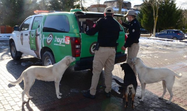 HAYDİ ekipleri sokaktaki canları unutmadı