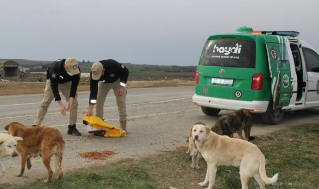 HAYDİ ekipleri, sokaktaki canları unutmadı