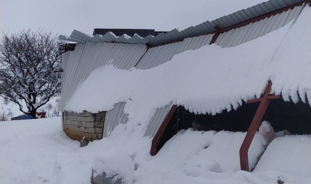 Hayvan çiftliğinin çatısı çöktü