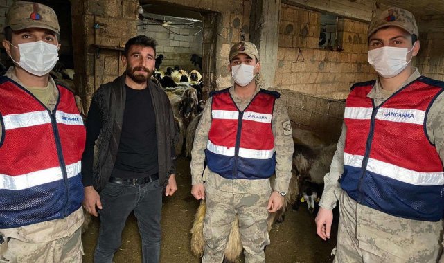 Hayvan hırsızları jandarmadan kaçamadı