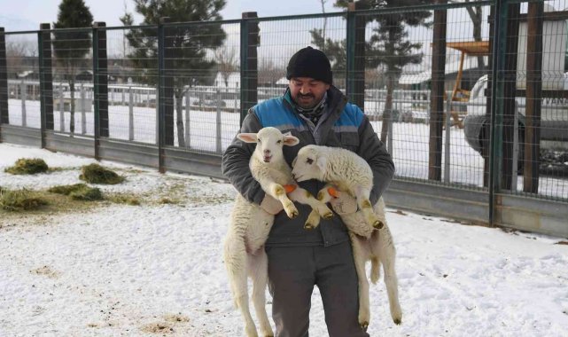 Hayvanat Bahçesi sakinlerine kışa özel bakım