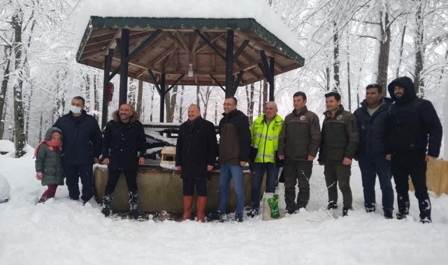 Hayvanlar için doğaya yem bırakıldı