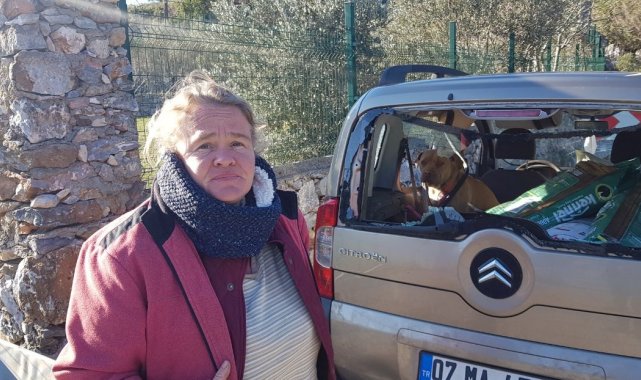 Hayvansever Alman kadının içinde köpeği bulunan aracını sopalar ve taşlarla parçaladılar