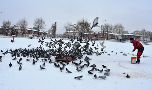 Hayvanseverlerden Başkan Çolakbayrakdar'a teşekkür