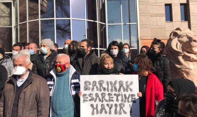 Hayvanseverlerden belediyelere sokak hayvanları tepkisi