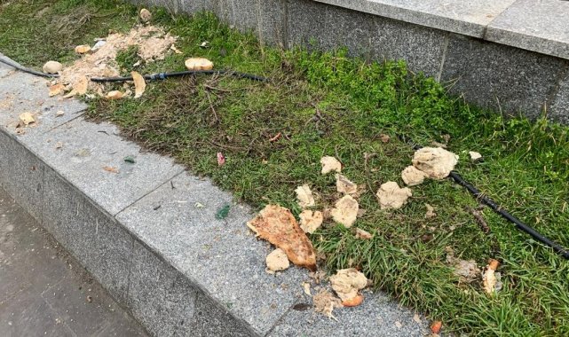 Hem çevre kirliliği oluşturuyor hem de hayvan sağlığını tehdit ediyor