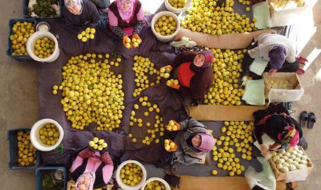Her aşamasında onlar çalışıyor, kadınların elinden dünya pazarına