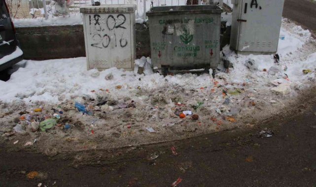 Her yer açık, Çankaya kapalı