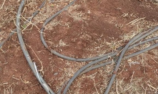 Hırsızlar bu defa çiftçinin alın terine göz dikti