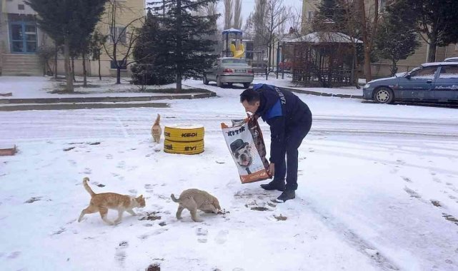Hisarcık Belediyesi sokak hayvanlarını unutmadı