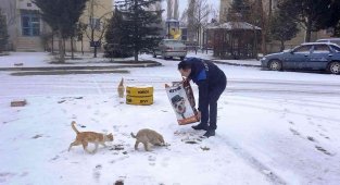 Hisarcık Belediyesi sokak hayvanlarını unutmadı