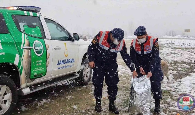 İçişleri Bakanı Soylu, o videoyu sosyal medya hesabından paylaştı