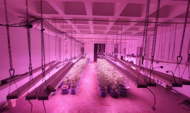 İş yeri görünümlü uyuşturucu imalathanesine baskın