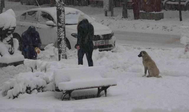 Isparta'da aniden bastıran kar kalınlığı 15 santimetreyi geçti
