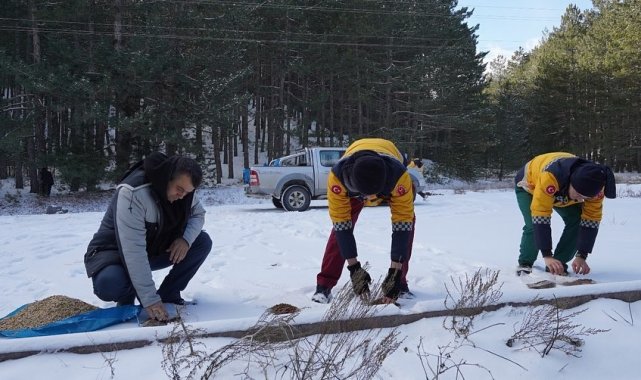 Isparta'da, kar altında doğada yaşayan hayvanlar unutulmadı