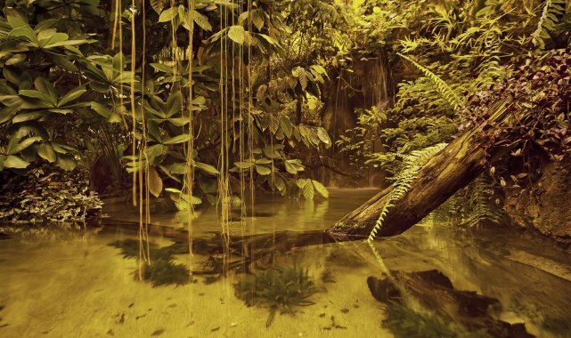 İstanbul Akvaryum'dan sömestr tatiline özel öğretici etkinlikler