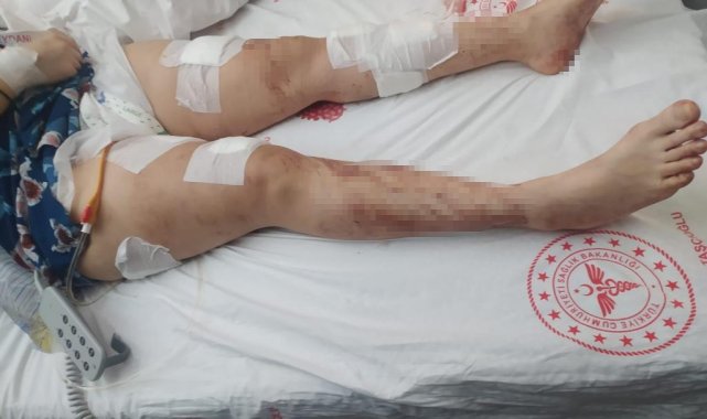 İstanbul'da koca dehşeti: Kucağına çocuğunu alıp eşine 12 el ateş etti