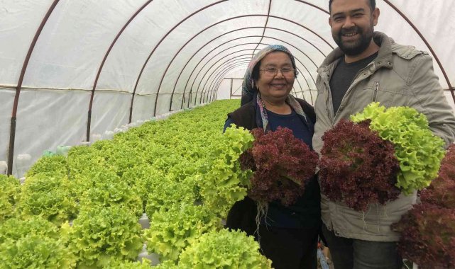 İstanbul'un kalabalığından kaçtı memleketinde topraksız tarıma başladı