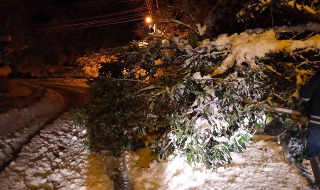 İtfaiye ekipleri devrilen ağaçları kaldırdı