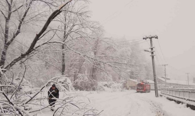 İtfaiye kardan yola devrilen ağaçları kesti