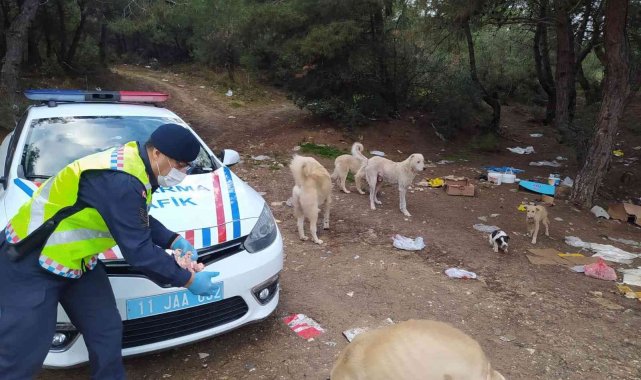 Jandarma ekipleri sokak hayvanları için doğaya yiyecek ve mama bıraktı