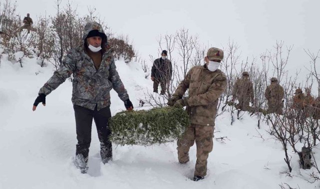 Jandarma ekipleri sokak ve yaban hayvanlarını unutmadı