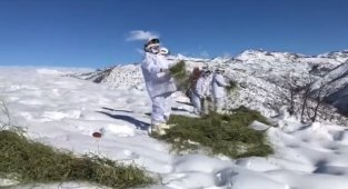 Jandarma ekipleri yaban hayvanlarını unutmadı