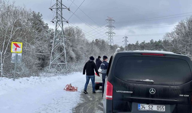 Jandarma sokak hayvanlarını besledi