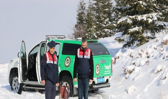 Jandarma sokak hayvanlarını ve yılkı atlarını besledi
