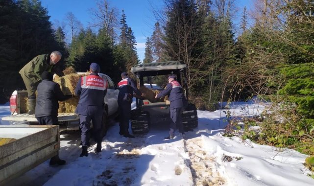 Jandarma tarafından yaban hayvanlarına yem bırakıldı