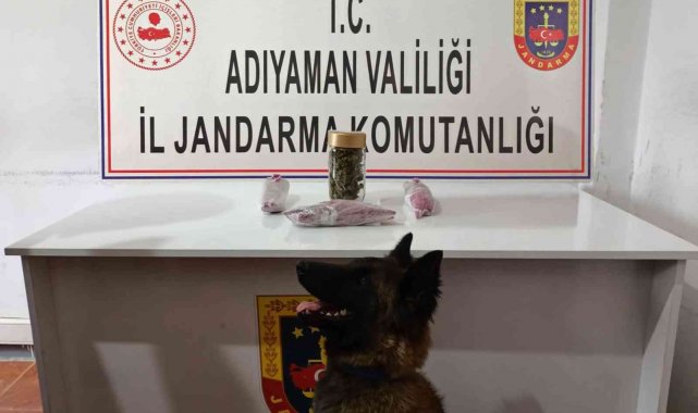 Jandarma uyuşturucuya geçit vermiyor