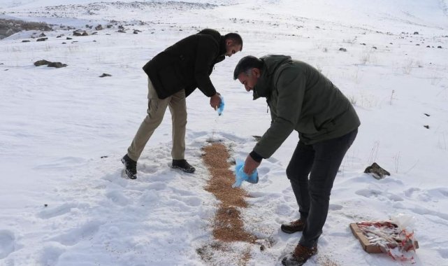 Jandarma ve emniyetten yemleme çalışması