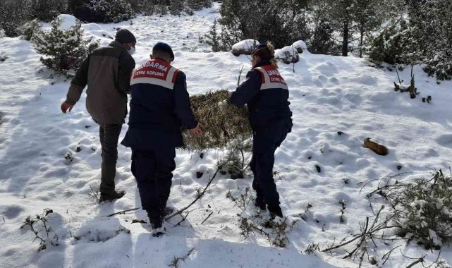 Jandarma yaban hayvanları unutmadı