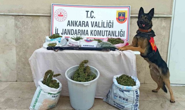 Jandarma zehir tacirlerine geçit vermedi