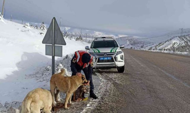 Jandarmada ekipleri hayvanları unutmadı