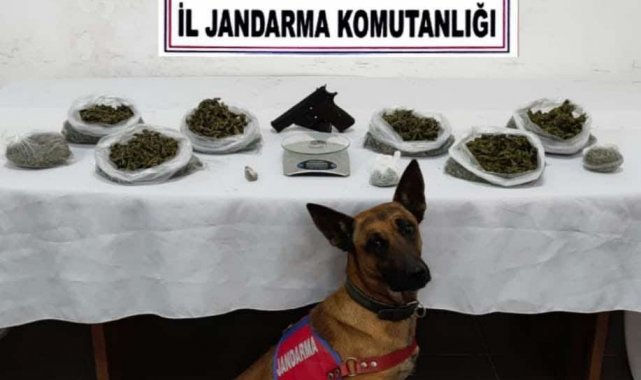 Jandarmadan iki noktada uyuşturucu operasyonu: 2 gözaltı