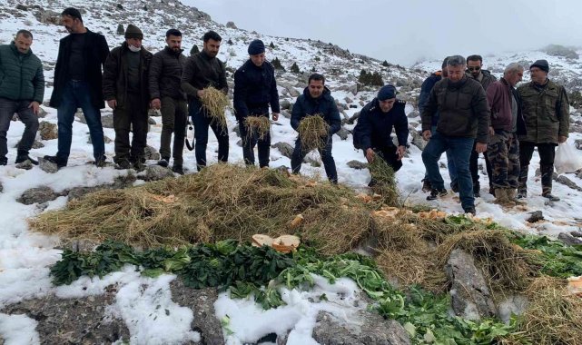 Jandarmadan yaban hayvanlarına yem