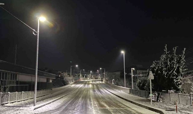 Japonya&#039;da şiddetli kar ve buzlanma nedeniyle 215 kişi hastanelik oldu