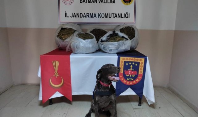 JASAT, Batman'da bir yılda 131 olayı aydınlattı