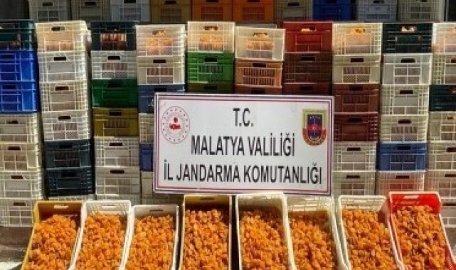 JASAT suçlulara göz açtırmadı