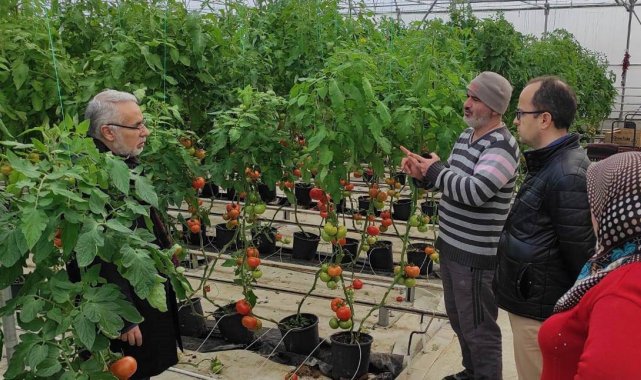 Jeotermal kaynaklı seralarda dönem kontrolleri