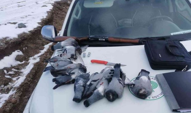 Kaçak avcılar, avlandı