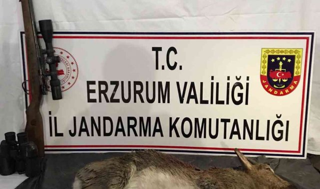 Kaçak avcılar jandarmadan kaçamadı