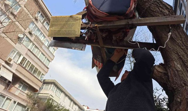 Kadıköy'de Laz bakkalın sosyete arıları elektrikli battaniyeyle ısındı