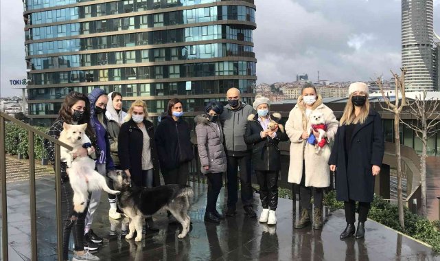 Kadıköy&#039;de lüks sitede köpek besleyen hayvansevere tehdit: &quot;Samuray kılıcıyla doğrarım&quot;