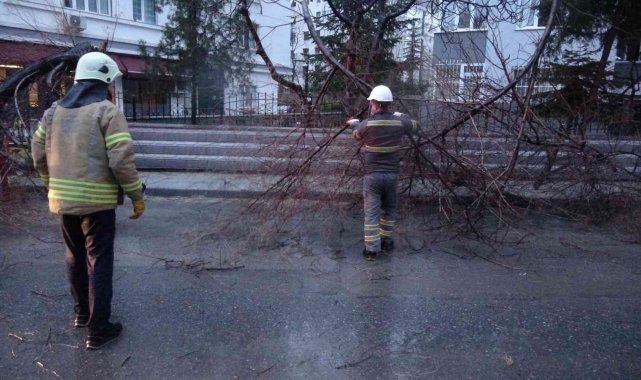 Kadıköy'de şiddetli fırtınanın etkisiyle ağaç ve elektrik direği devrildi